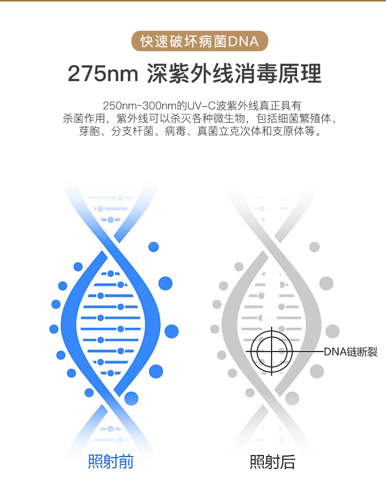 1702547294362476.jpg UV210消毒燈_07.jpg